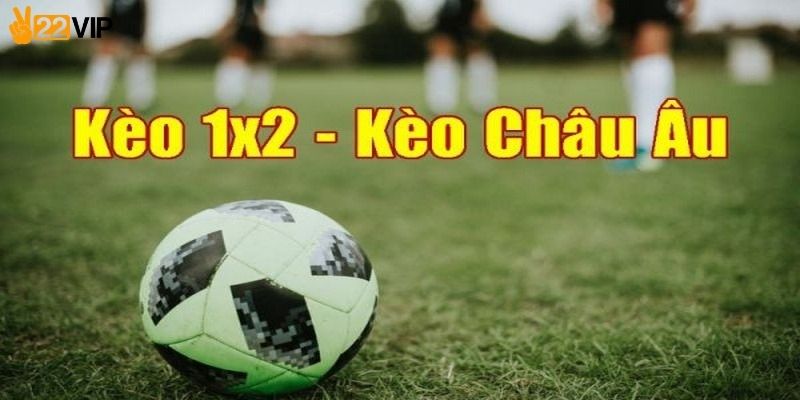 Biểu đồ phân tích xác suất thắng thua các trận đấu