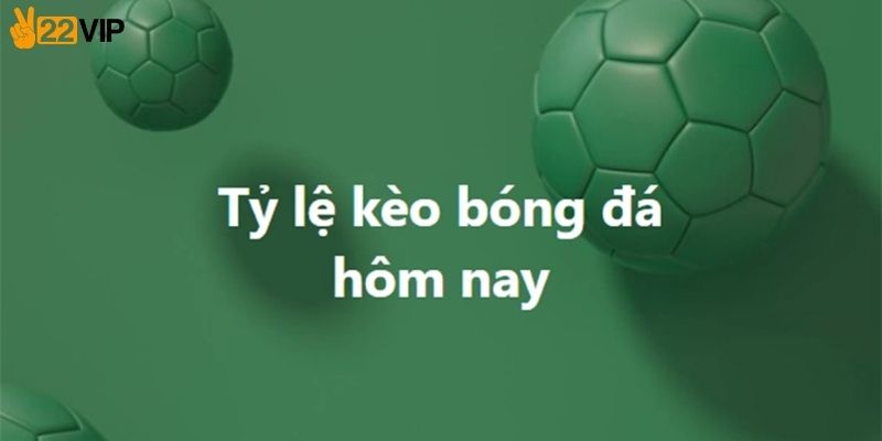 Hướng dẫn cách soi kèo